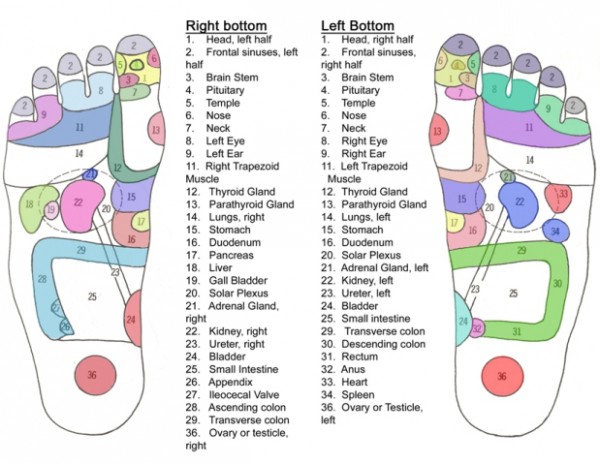 foot diagram reflexology