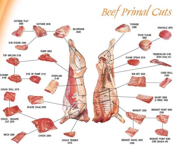 beef cuts diagram image