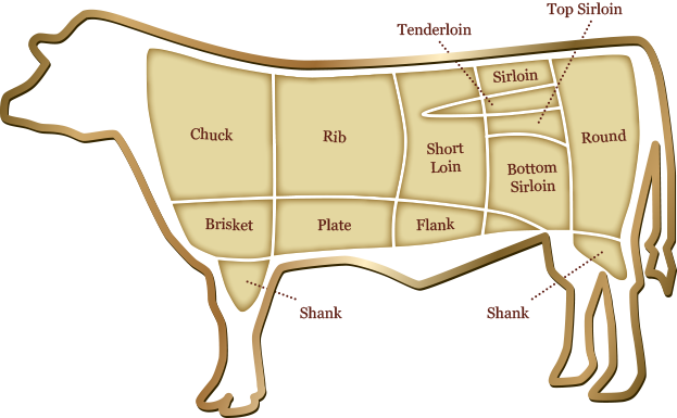 cuts of beef diagram handout usda