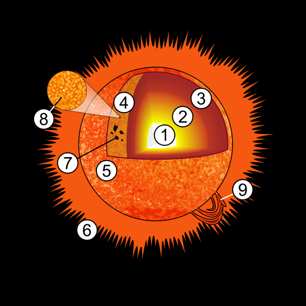 sun diagram for kids