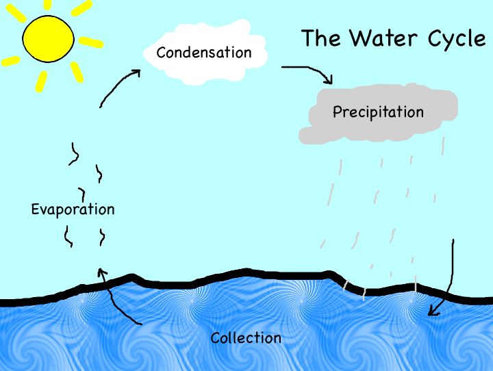 the water cycle diagram for kids labeled