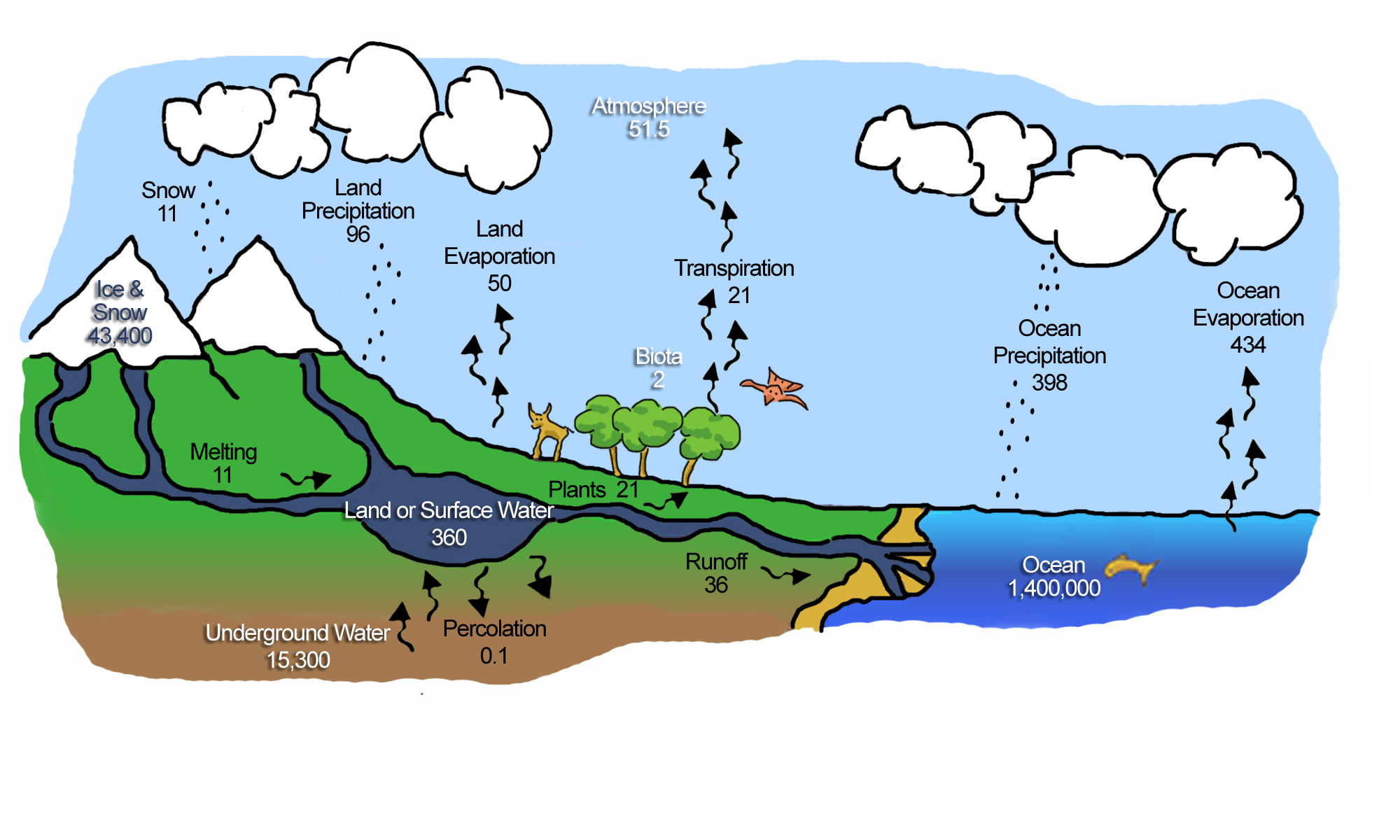 the water cycle diagram for third graders